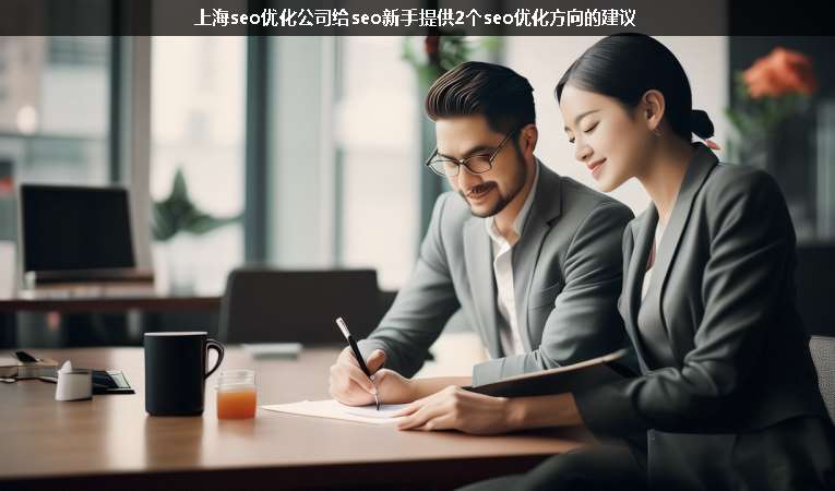 上海seo優(yōu)化公司給seo新手提供2個(gè)seo優(yōu)化方向的建議