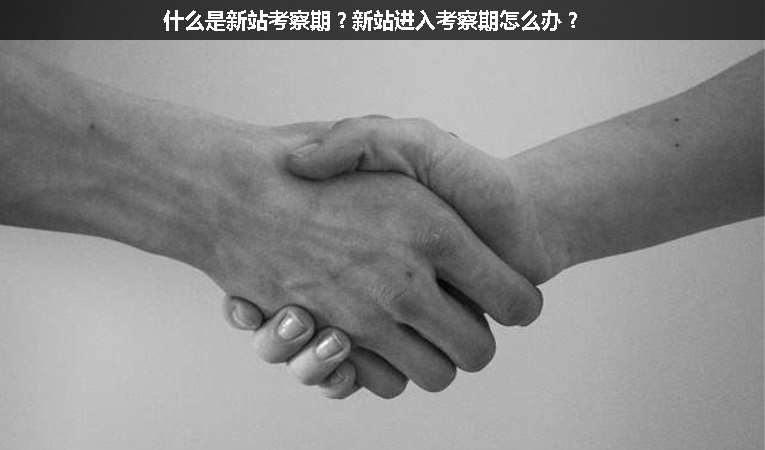 什么是新站考察期？新站進(jìn)入考察期怎么辦？