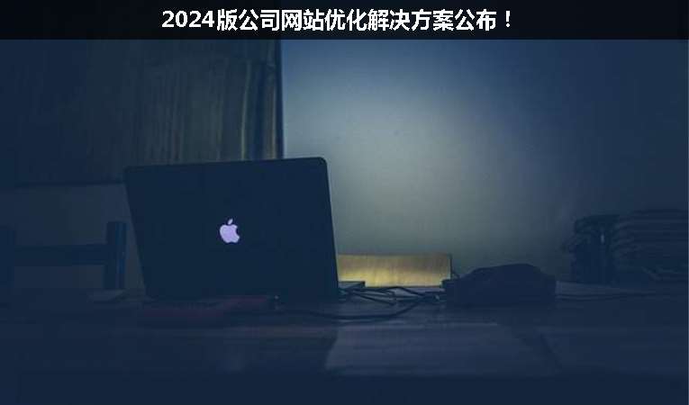 2024版公司網(wǎng)站優(yōu)化解決方案公布！