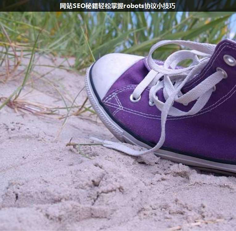 網(wǎng)站SEO秘籍輕松掌握robots協(xié)議小技巧